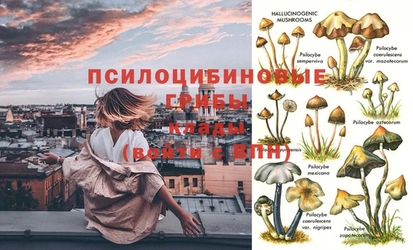 mdma Вяземский