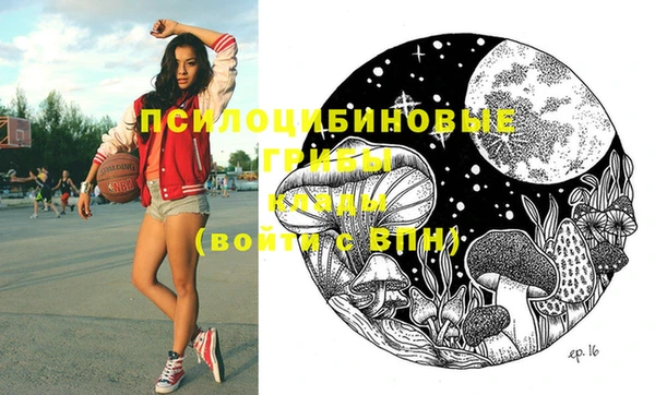 ECSTASY Вязники