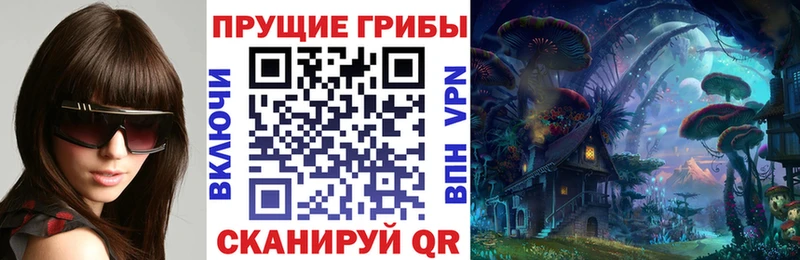 Псилоцибиновые грибы GOLDEN TEACHER  Питкяранта 
